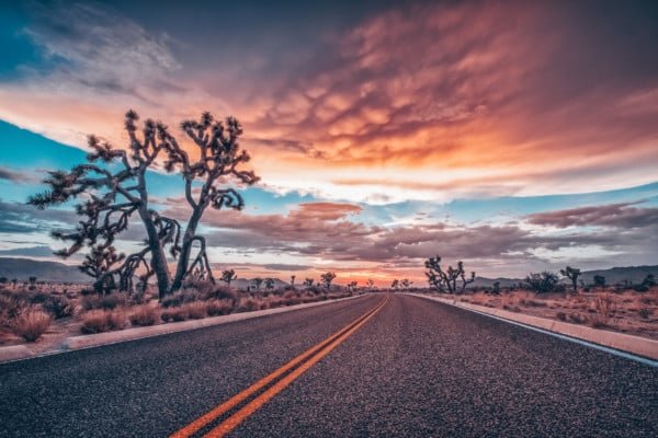 Joshua Tree Storm Sunset Landscape