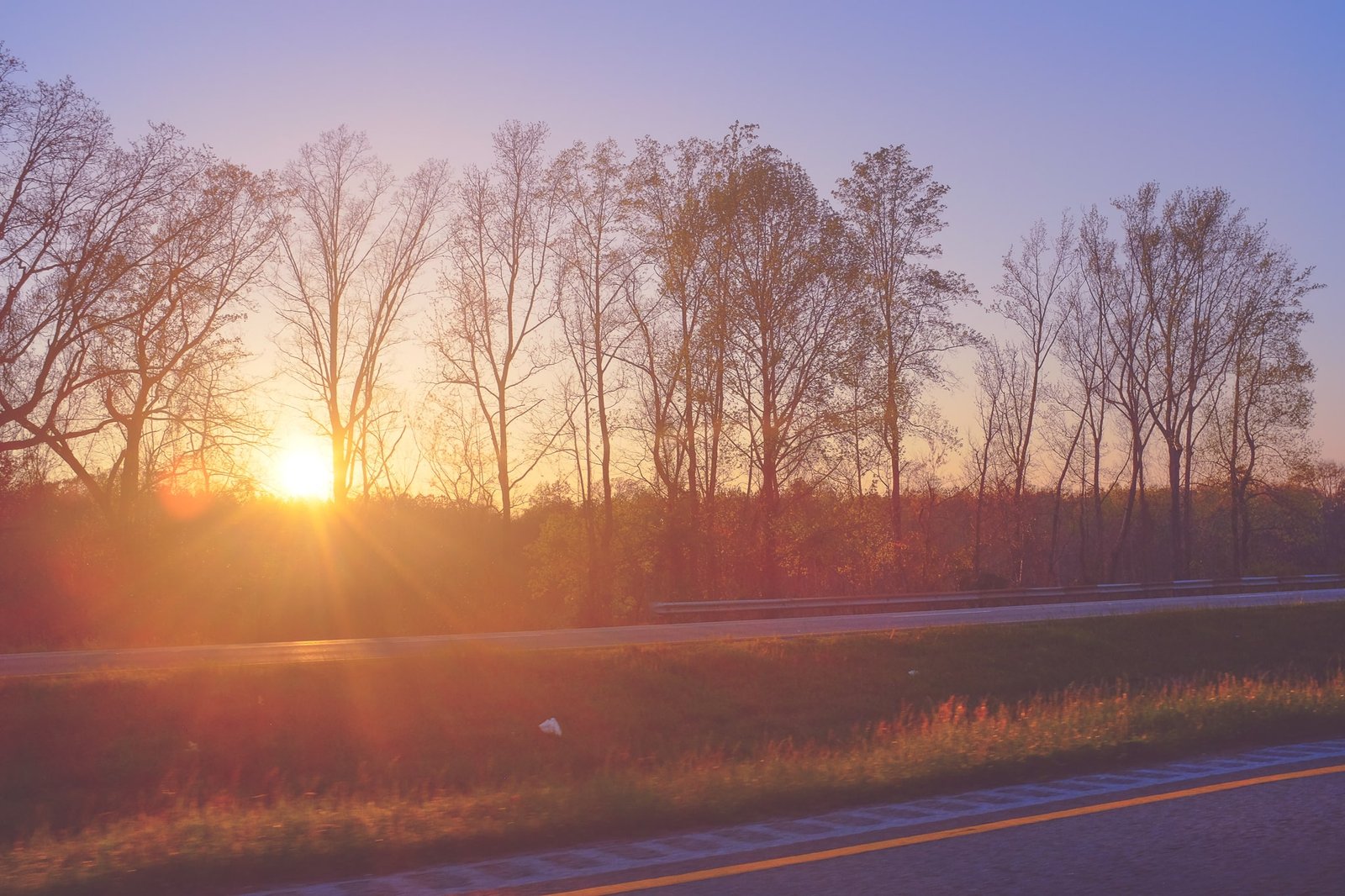 Sunset Trees Roadtrip Travel