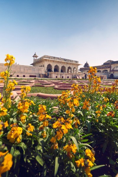 Agra Fort Flowers India Travel