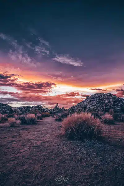 Desert Sunset Storm Landscape Nature Desert Sunset Storm Landscape Nature