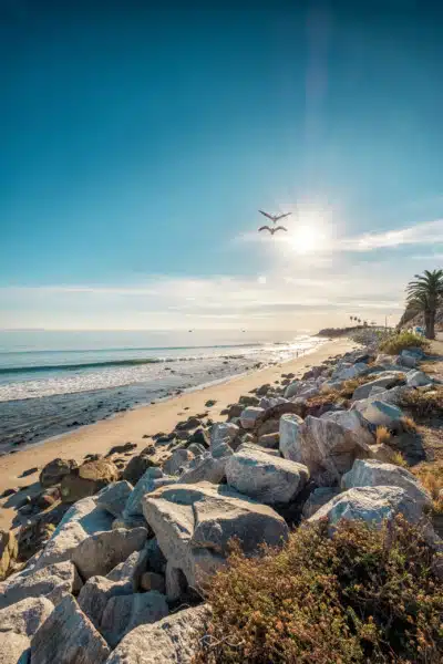 Malibu Beach Sunshine Birds Landscape Malibu Beach Sunshine Birds Landscape