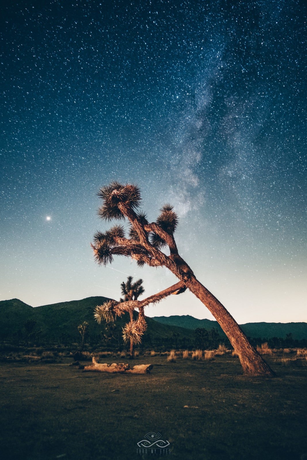 MilkyWay Astrophotography JoshuaTree Desert California MilkyWay Astrophotography JoshuaTree Desert California