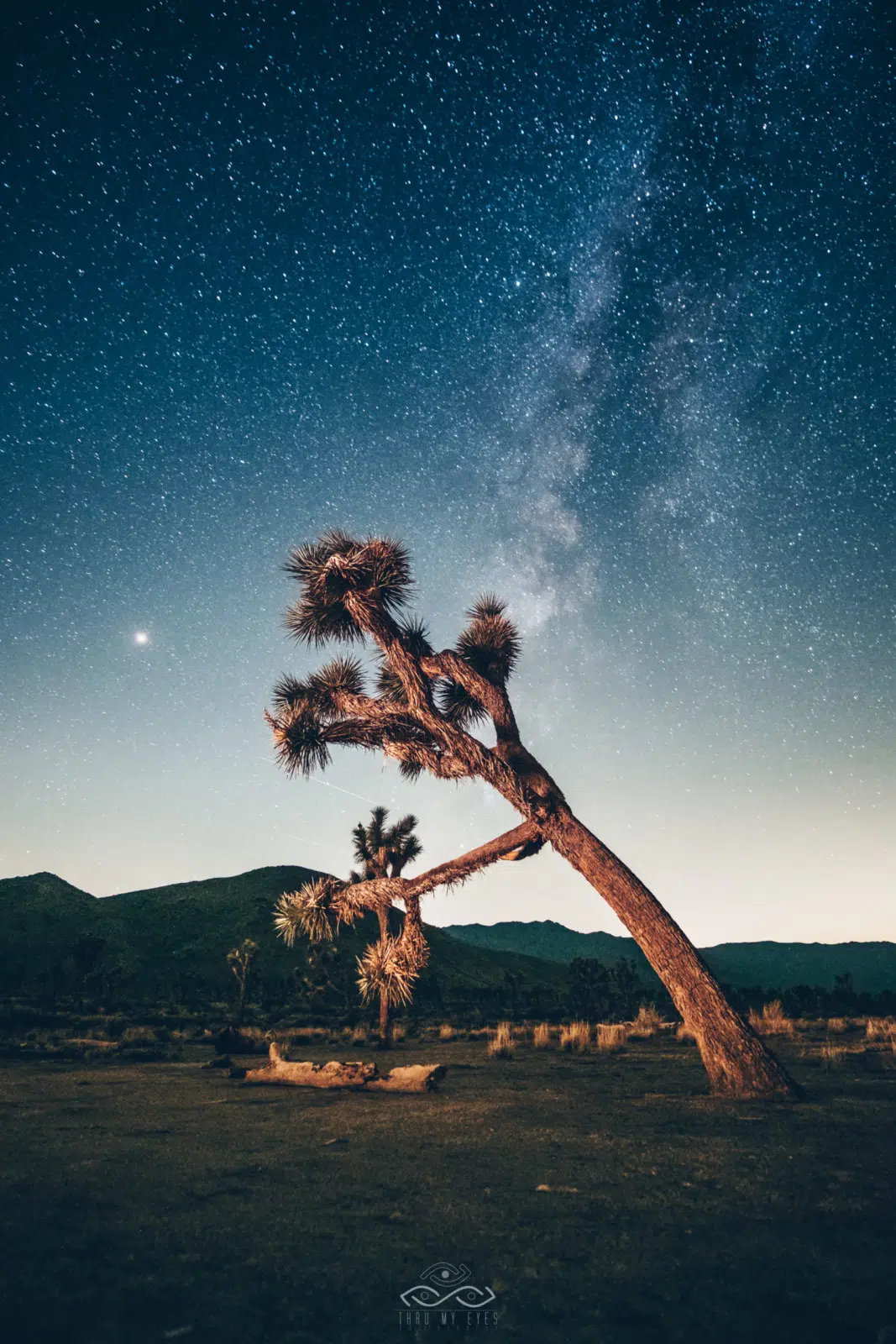 MilkyWay Astrophotography JoshuaTree Desert California