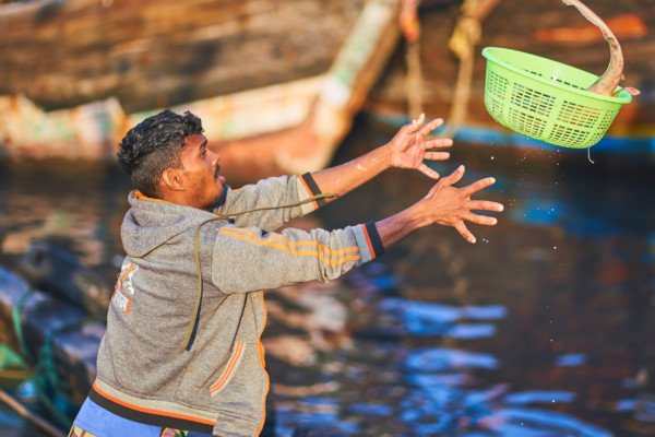 Mumbai Fish Market Man Travel