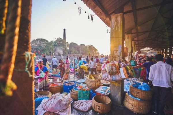 Mumbai Fish Market Travel India