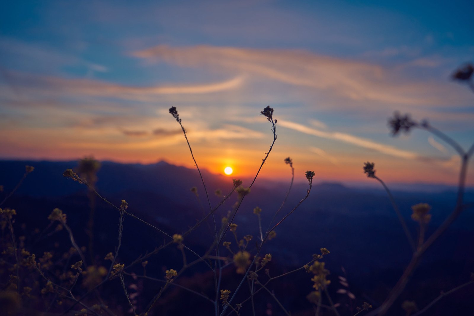 Orange Blue Sunset Landscape Nature Orange Blue Sunset Landscape Nature