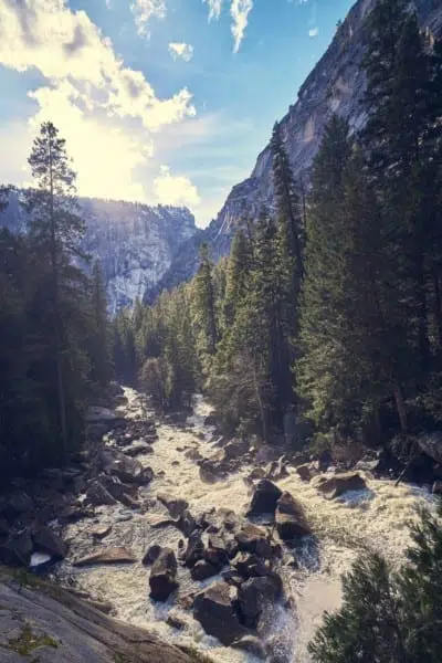 River Yosemite Redwoods Sunlight Nature River Yosemite Redwoods Sunlight Nature