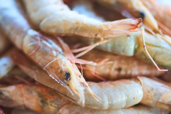Shrimp Prawn Market Nature Macro