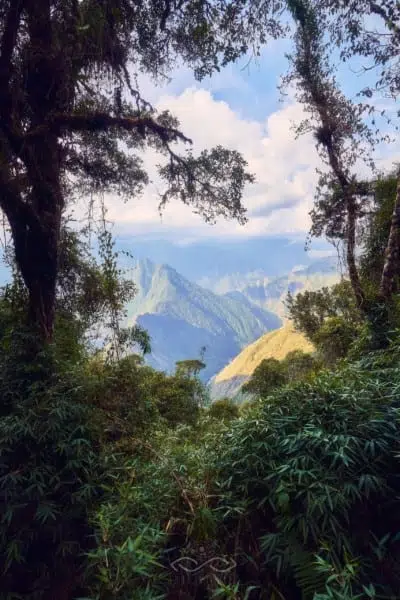 Trees Mountains Inca Trail Andes Trees Mountains Inca Trail Andes