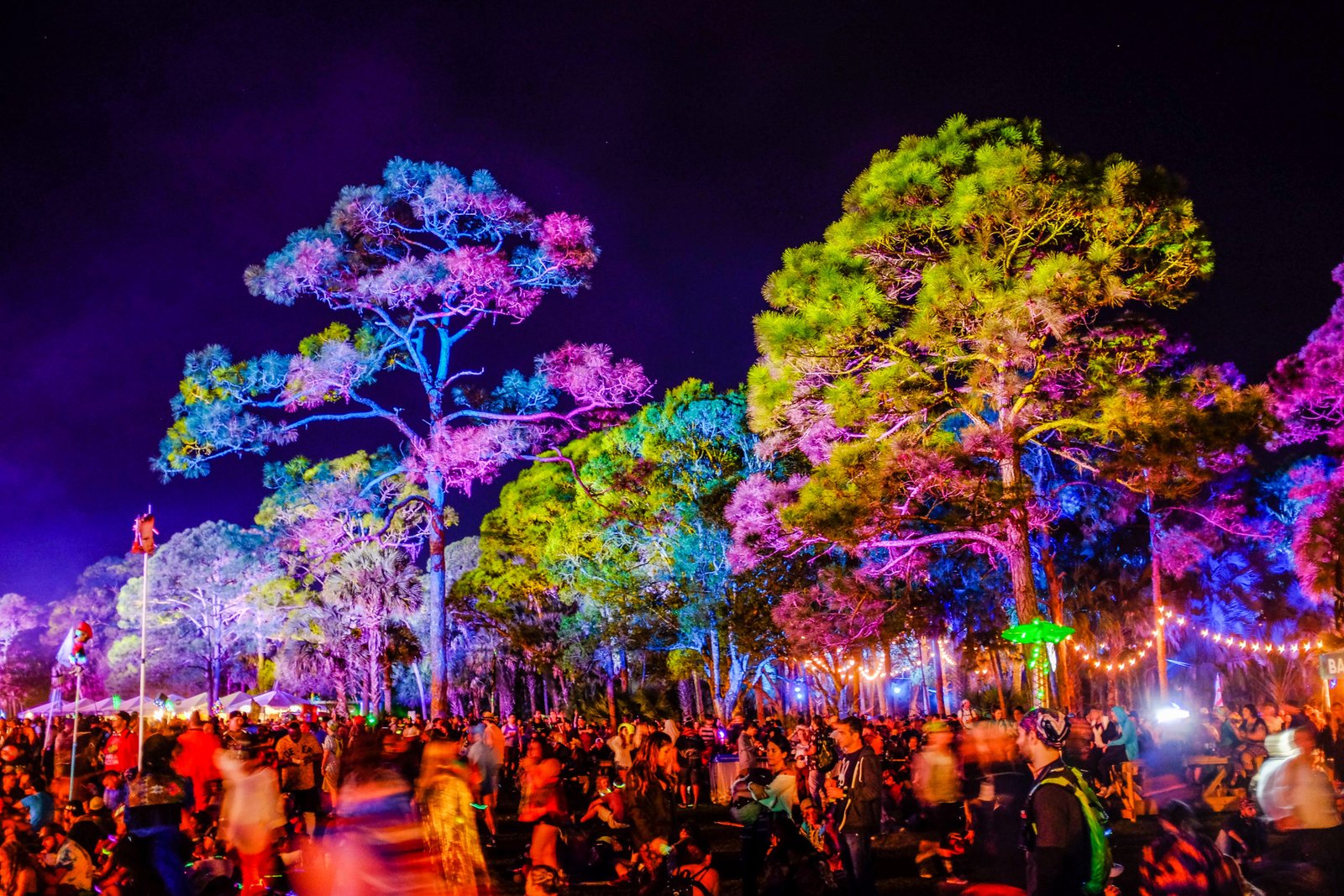 Trippy Trees OMF Okeechobee Music