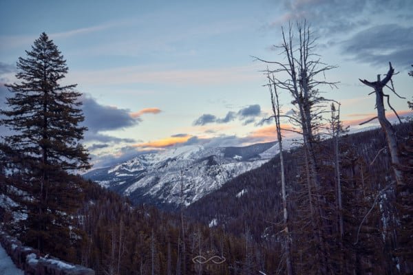 Yellowstone Mountain Sunset Landscape Trees