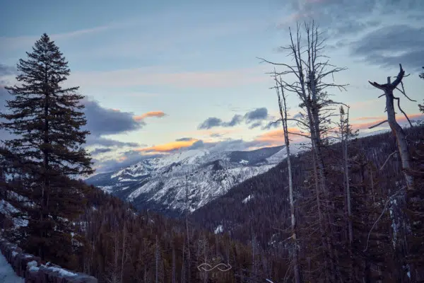 Yellowstone Mountain Sunset Landscape Trees Yellowstone Mountain Sunset Landscape Trees