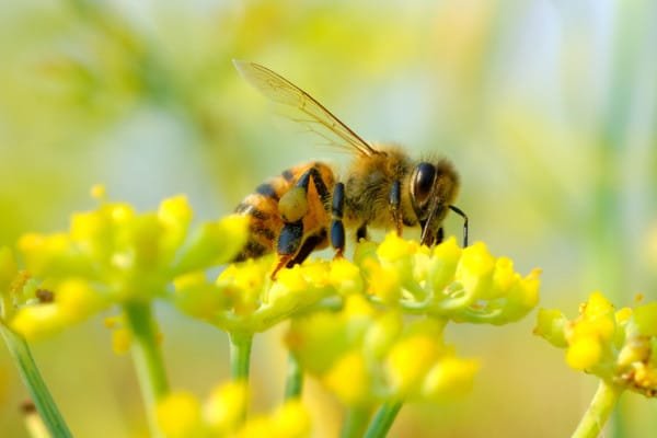 Fine Art Photographer in Sarasota & Tampa Bay, Florida