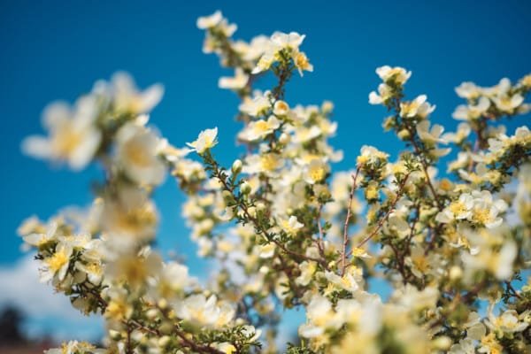 Fine Art Photographer in Sarasota & Tampa Bay, Florida