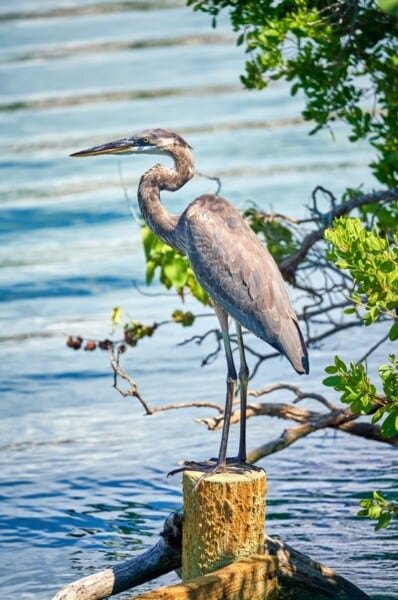 Screenshot 2022 09 09 121316