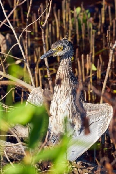 Screenshot 2022 09 09 121432