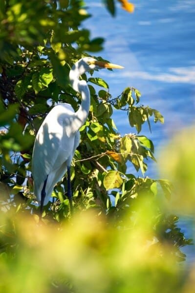 Screenshot 2022 09 09 121703