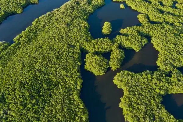 Sarasota Drone Photography Leffis Key Preserve Phillippi Estate Park 6