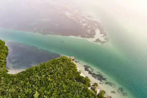 Sarasota Drone Photography Leffis Key Preserve Quick Point Nature Preserve 9