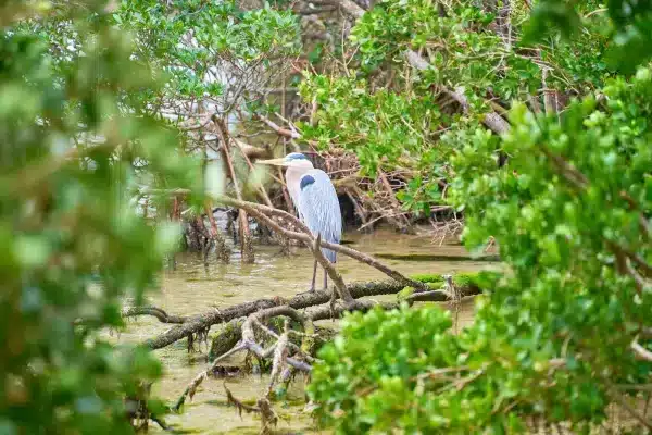 Sarasota Florida Photographer 13