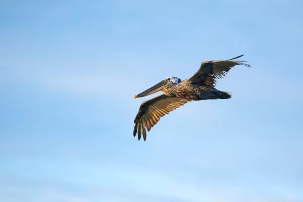 Sarasota Florida Photographer 18