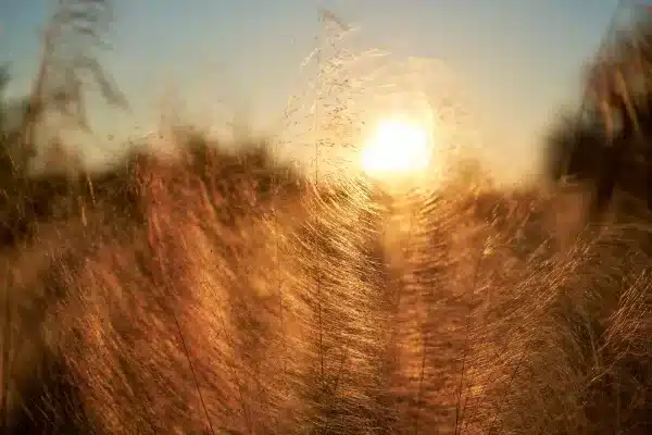 Sarasota Florida Photographer 28