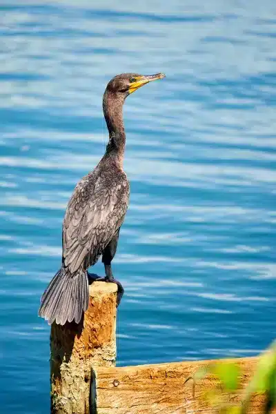 Sarasota Florida Photographer 3