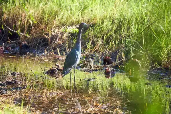 Sarasota Florida Photographer 32