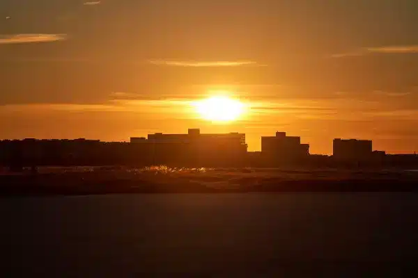 Sarasota Florida Photographer 39