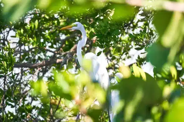 Sarasota Florida Photographer 5