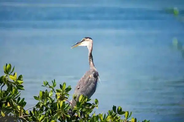 Sarasota Florida Photographer 6