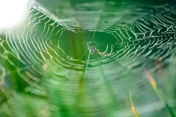 Sarasota Florida Photographer 7