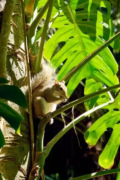 Sunken Gardens Macro Flower Photos Spring6