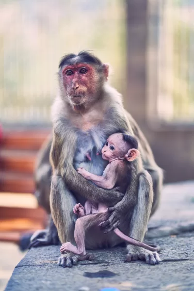 6 India Travel Photography Sarasota Florida Thru My Eyes 7