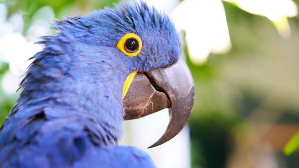 Travel Photography Florida Sarasota5