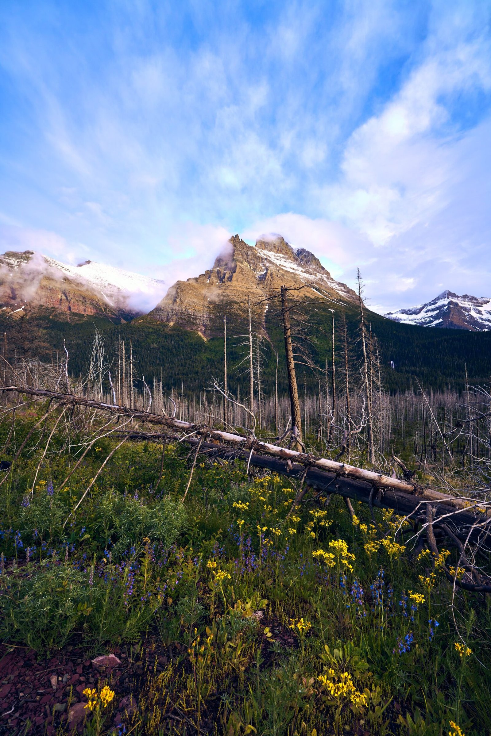 Fine Art Landscape Photography Glacier National Park