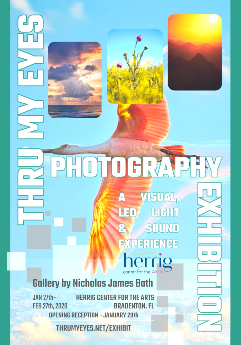 Thru My Eyes Fine Art Exhibition Flyer Herrig Center for the Arts Sarasota Bradenton Manattee Arts Center 2026