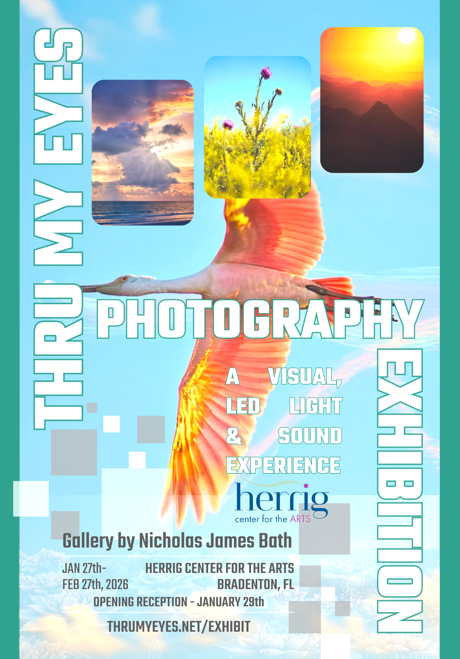 Thru My Eyes Fine Art Exhibition Flyer Herrig Center for the Arts Sarasota Bradenton Manattee Arts Center 2026