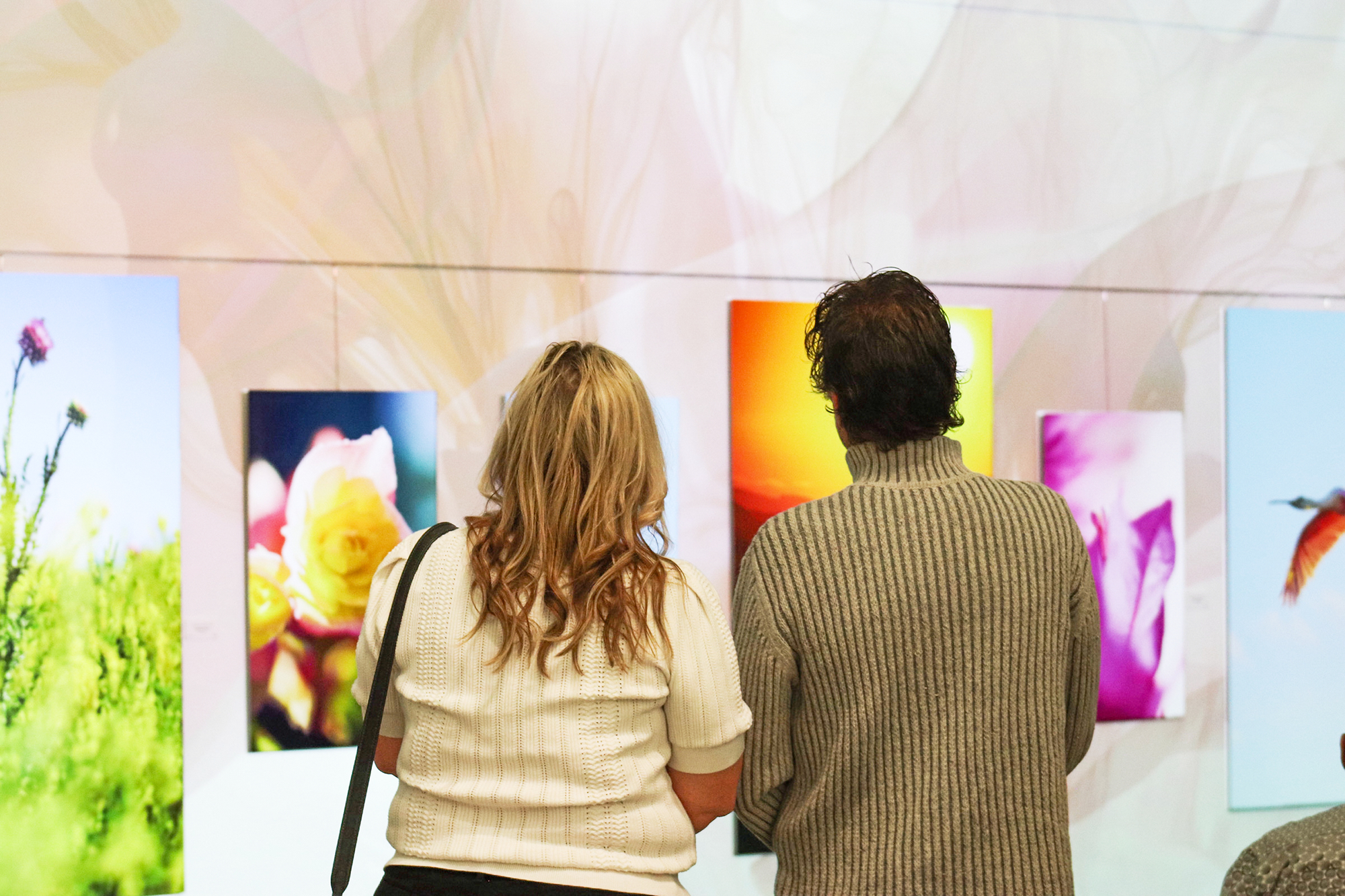 Thru My Eyes Gallery Fine Art Photography Immersive Experience Herrig Center for the Arts Florida