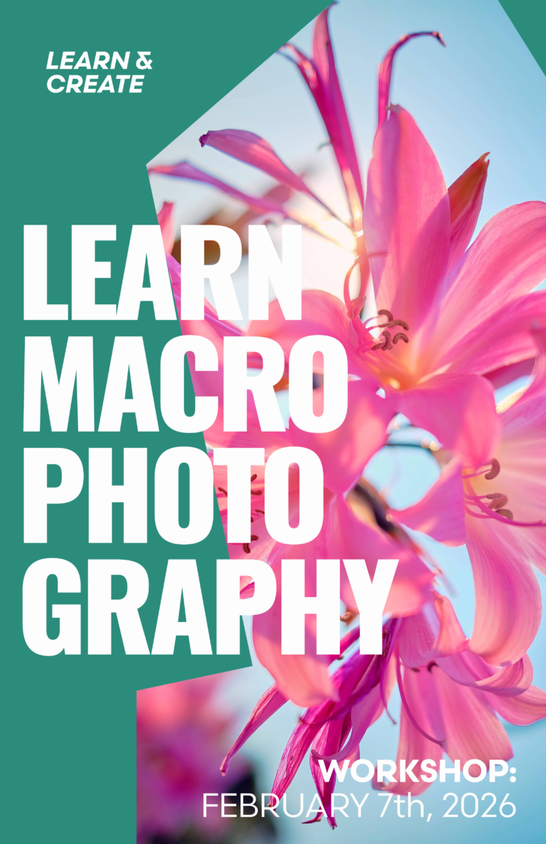 Thru My Eyes Fireside Chat & Macro Photography Workshop Flyer Herrig Center for the Arts Bradenton Florida February 2026