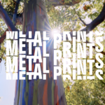 Thru My Eyes Photography Exhibition at Herrig Center for the Arts in Bradenton - One Week Left