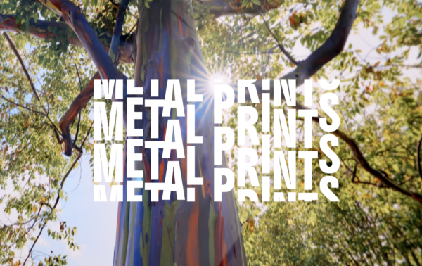 Thru My Eyes Photography Exhibition at Herrig Center for the Arts in Bradenton - One Week Left