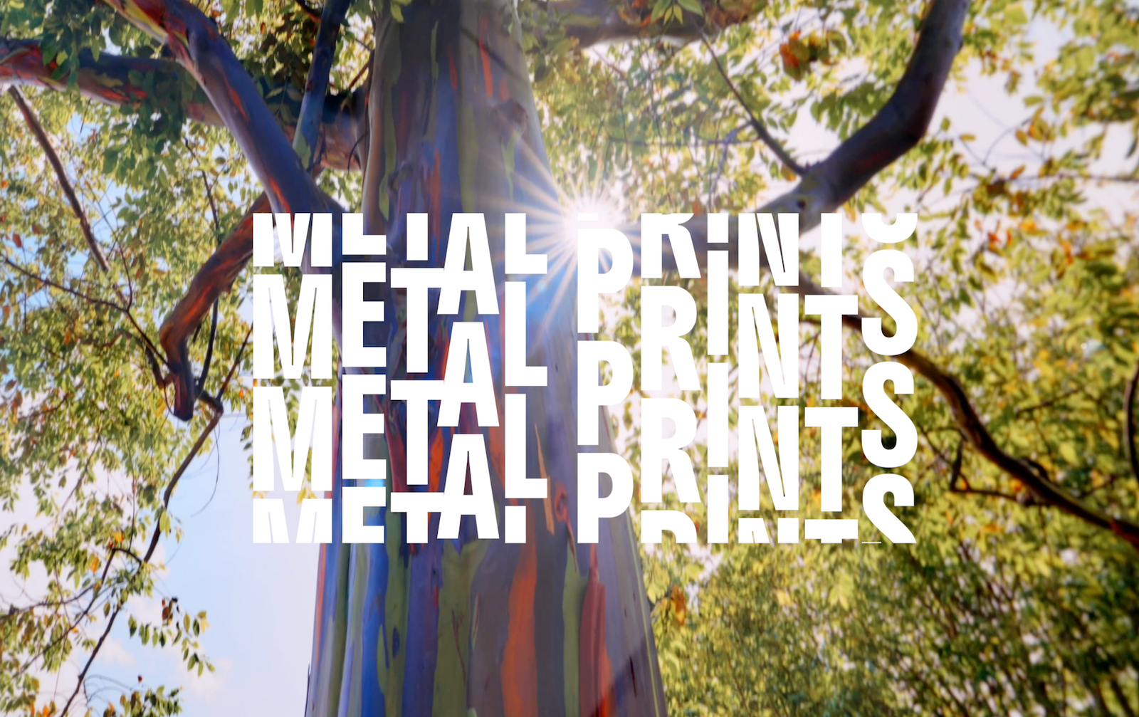 Thru My Eyes Photography Exhibition at Herrig Center for the Arts in Bradenton - One Week Left