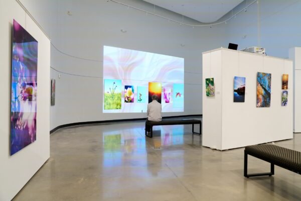 Thru My Eyes Photography Exhibition at Herrig Center for the Arts in Bradenton - One Day Left