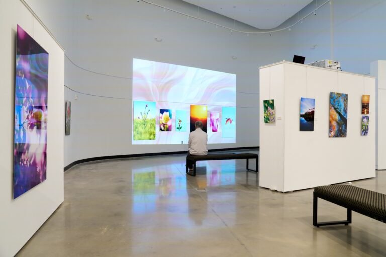 Thru My Eyes Photography Exhibition at Herrig Center for the Arts in Bradenton - One Day Left