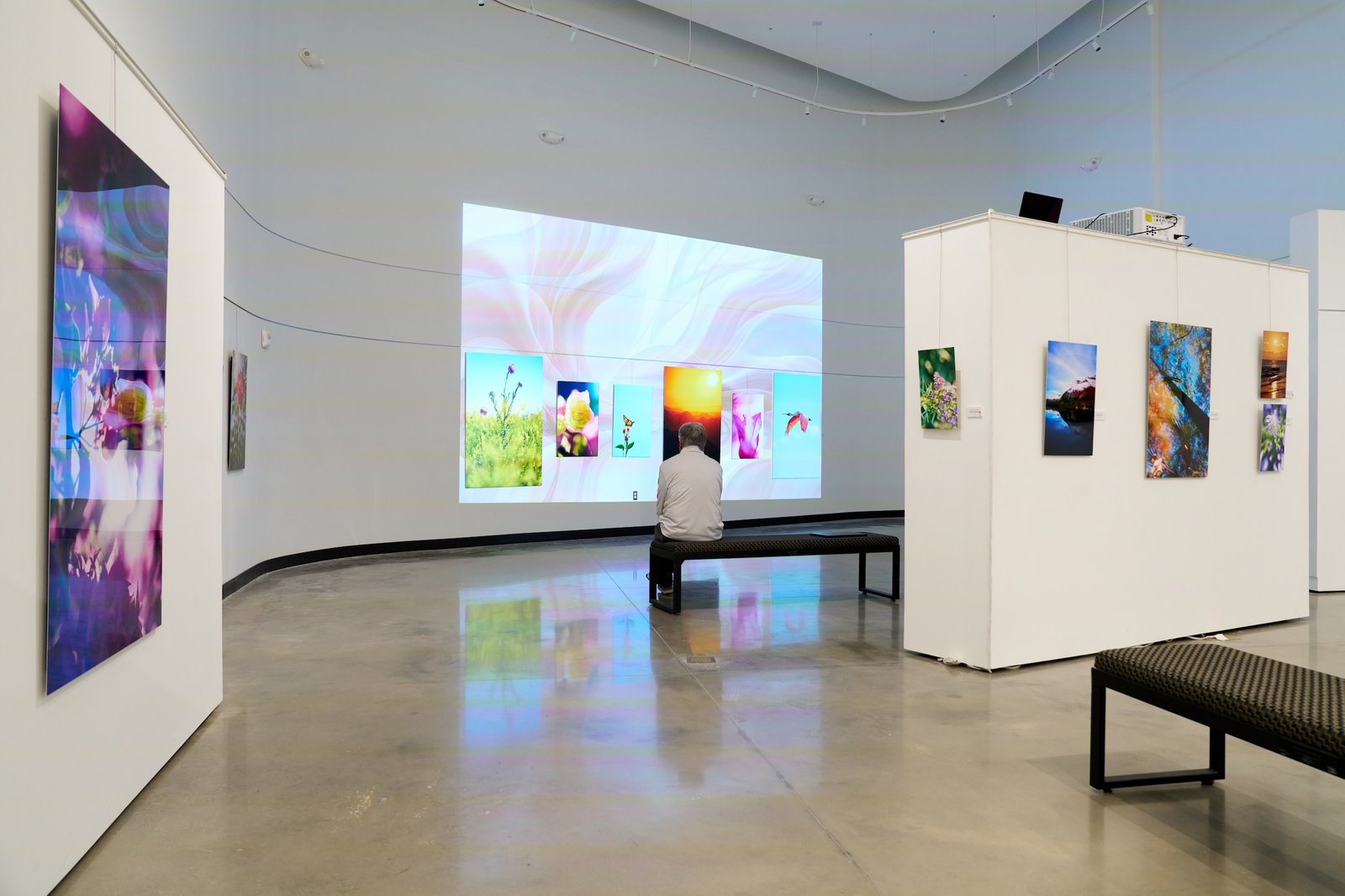 Thru My Eyes Photography Exhibition at Herrig Center for the Arts in Bradenton - One Day Left