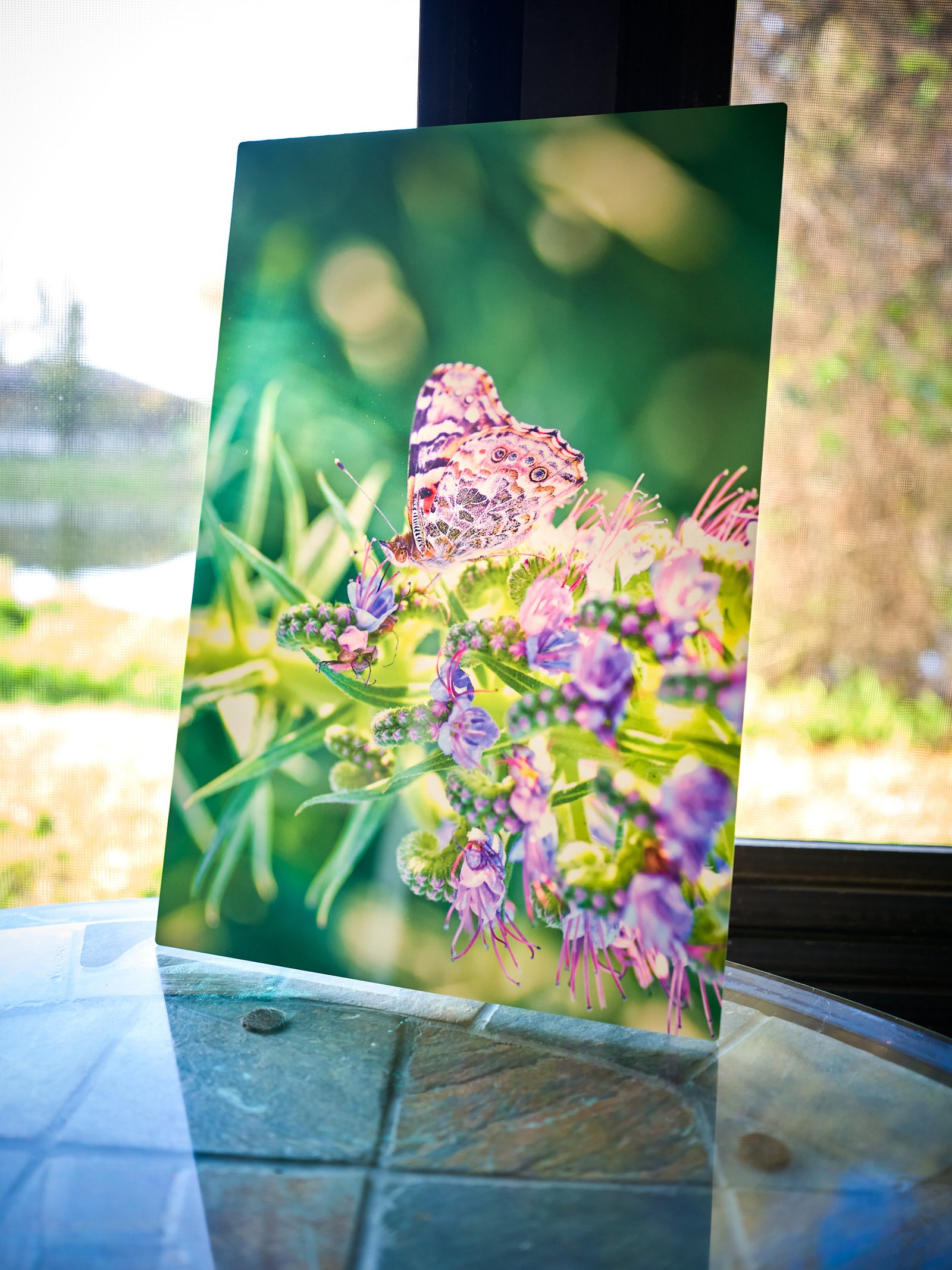 Thru My Eyes Metal Print A Flutter of Memories Macro Photography by Nicholas James Bath