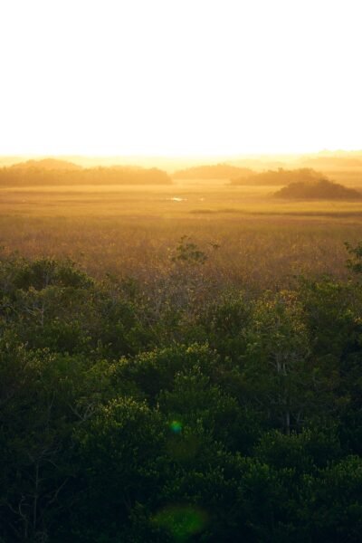 Nature Landscape Photography Everglades National Park Sunset