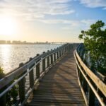 Baywalk at City Island Nature Photography Thru My Eyes Sarasota Florida