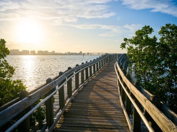 Baywalk at City Island Nature Photography Thru My Eyes Sarasota Florida